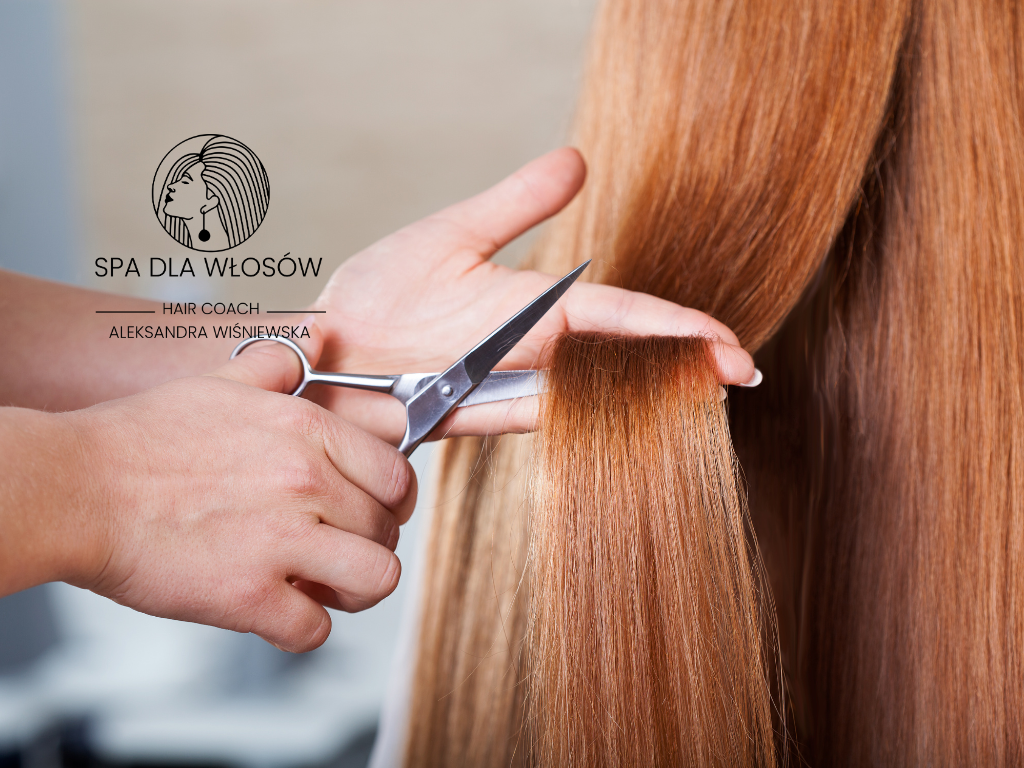 Head and spa nowy kierunek w fryzjerstwie który buduje przewagę na rynku